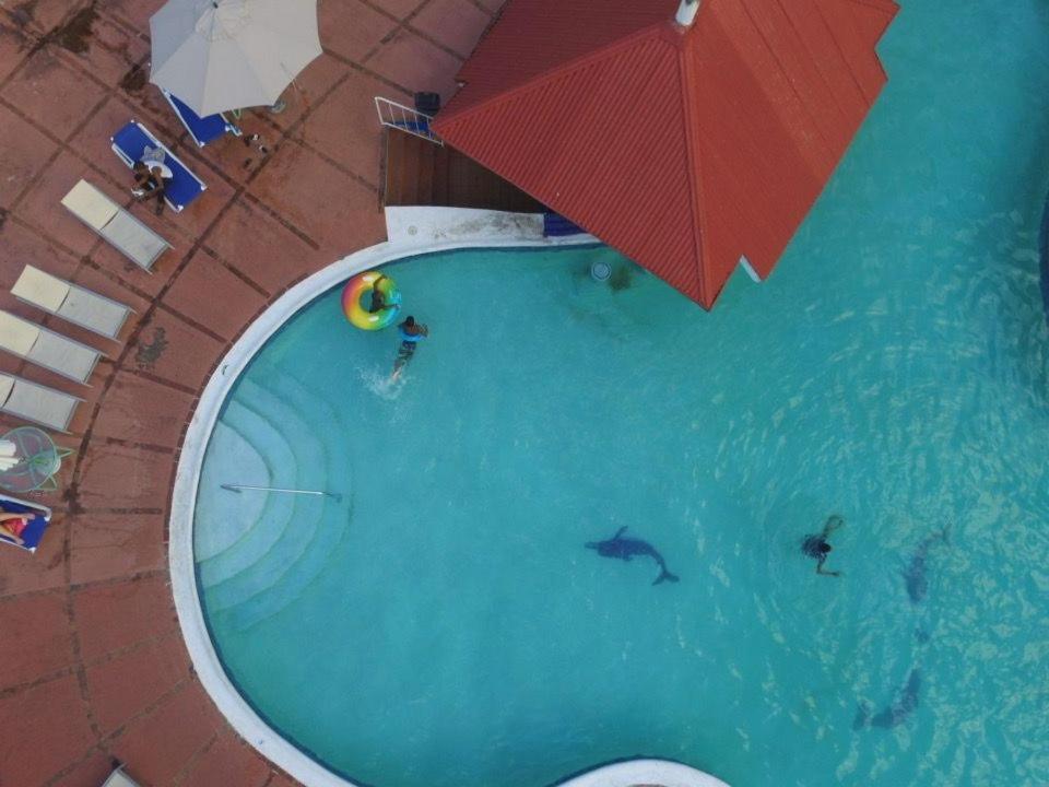 The View At Mystic Ridge Penthouse 78A Apartman Ocho Rios Kültér fotó